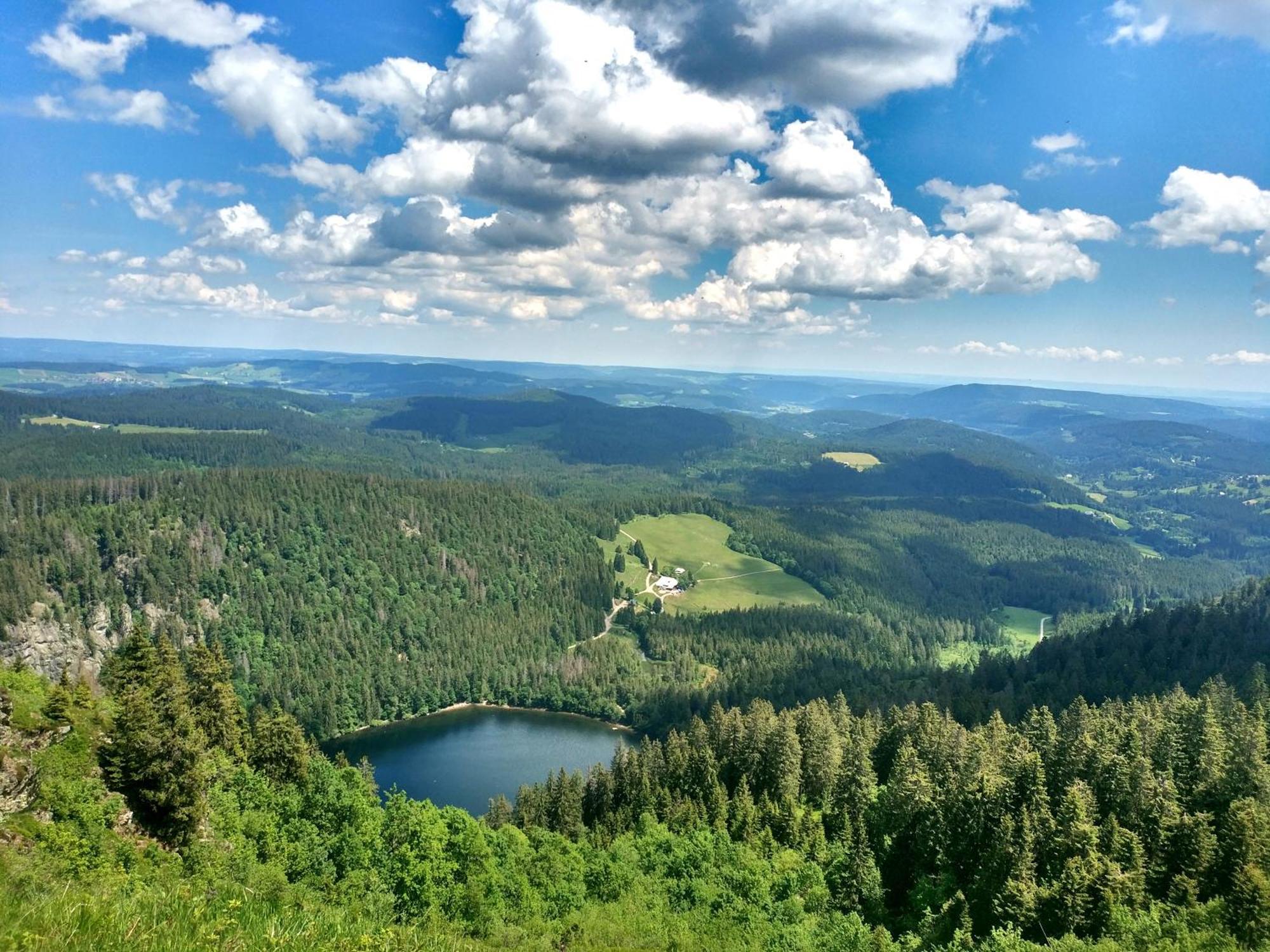 Ferienwohnung Seeblick Nr 2 5-Zimmerwohnung - Feldberg Baerental Rotwasser Екстер'єр фото