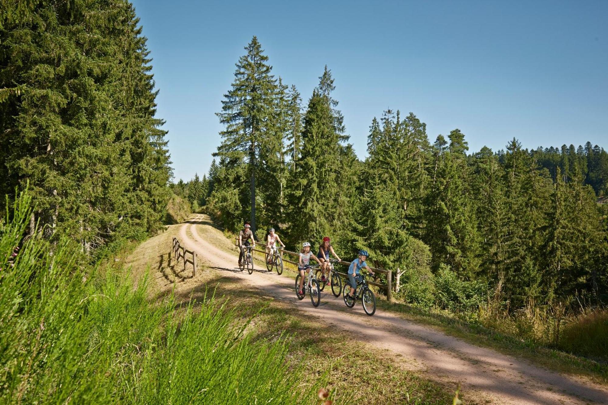 Ferienwohnung Seeblick Nr 2 5-Zimmerwohnung - Feldberg Baerental Rotwasser Екстер'єр фото