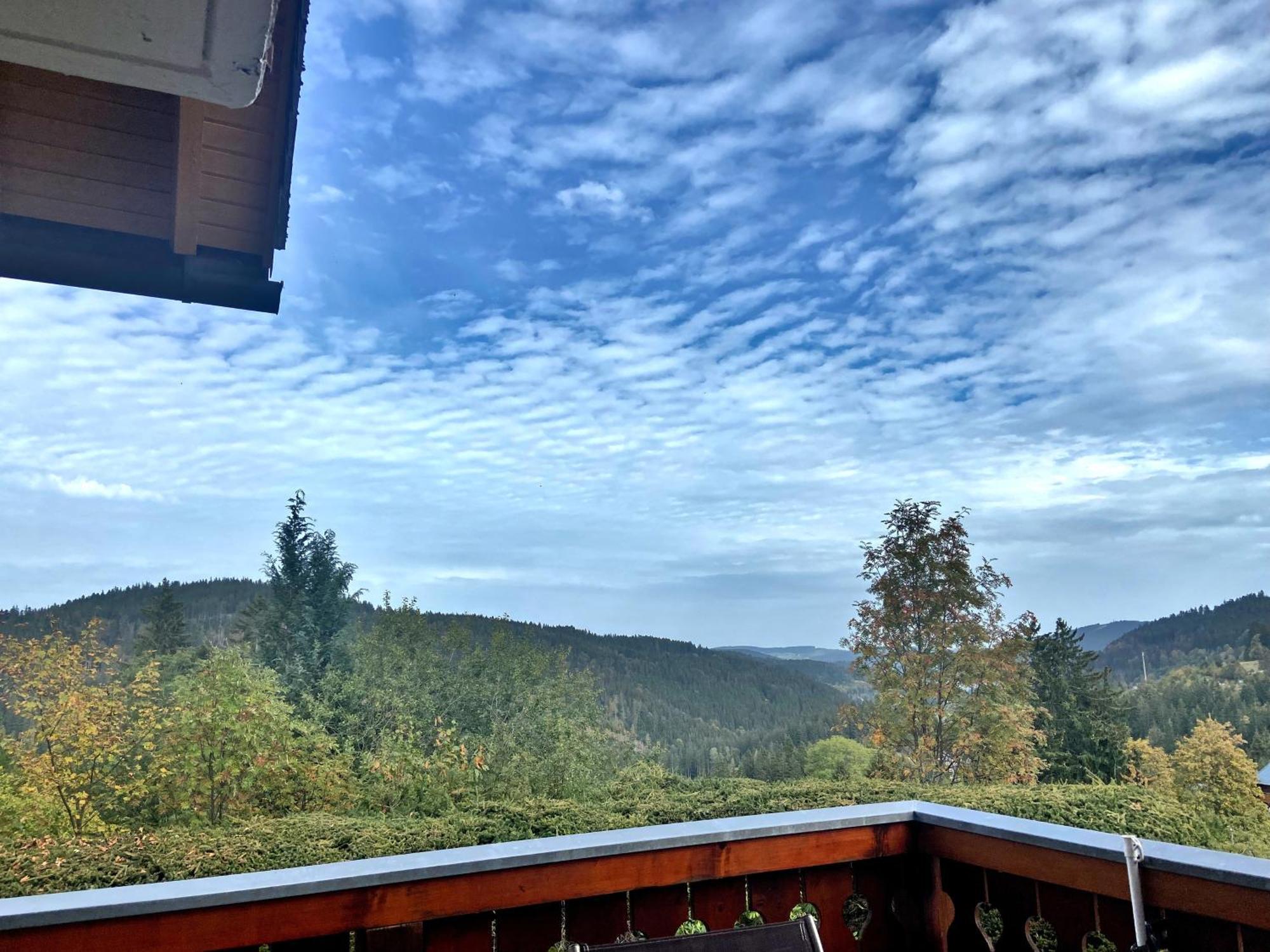 Ferienwohnung Seeblick Nr 2 5-Zimmerwohnung - Feldberg Baerental Rotwasser Екстер'єр фото
