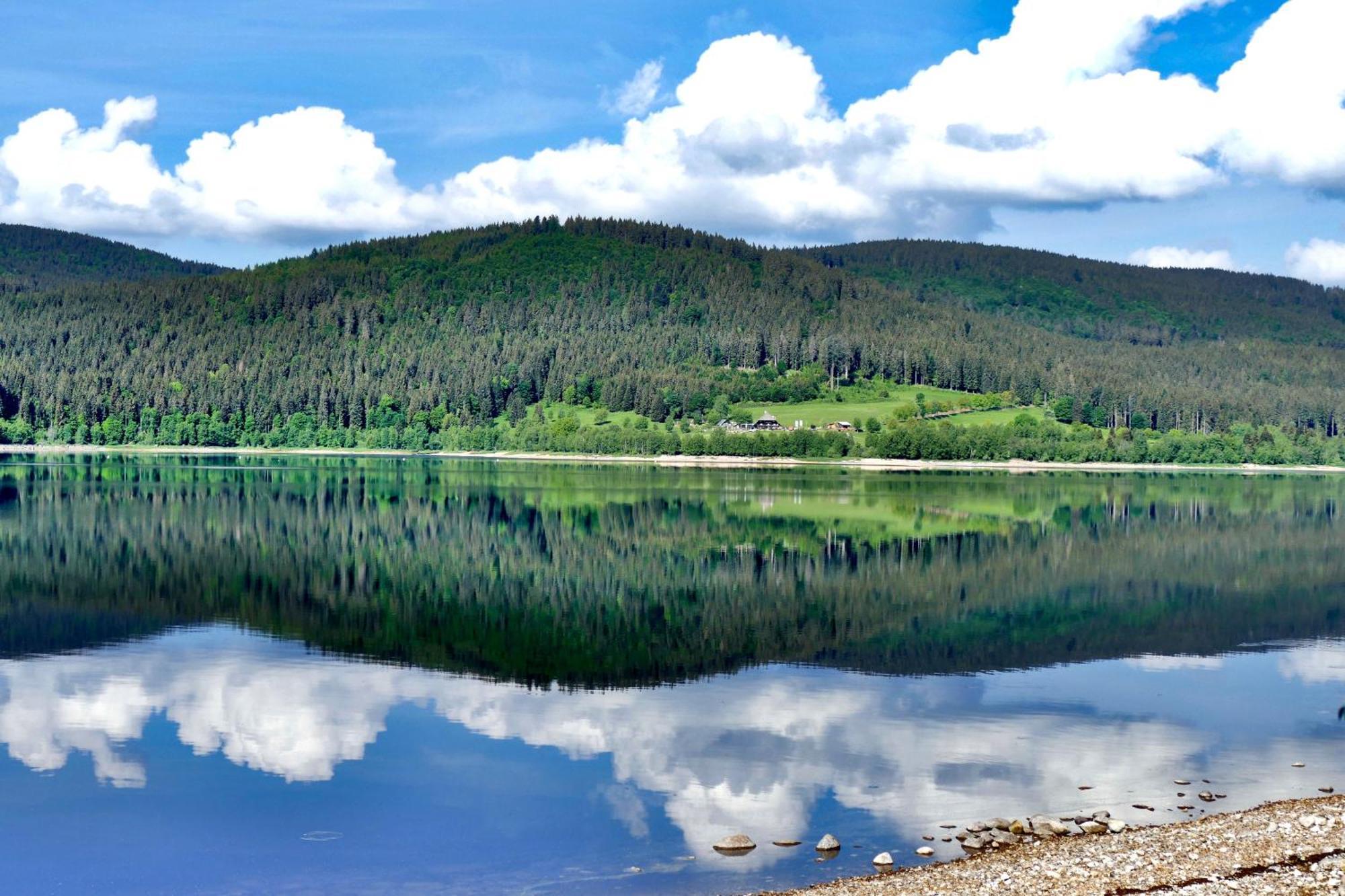 Ferienwohnung Seeblick Nr 2 5-Zimmerwohnung - Feldberg Baerental Rotwasser Екстер'єр фото